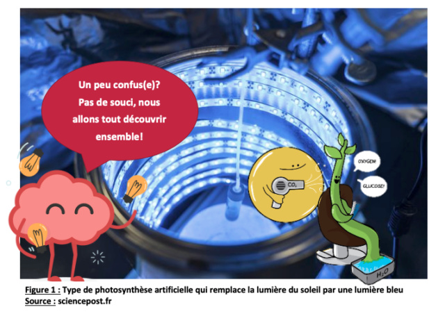 La photosynthèse artificielle: Source d’énergie 100% écologique de demain ? Screen11