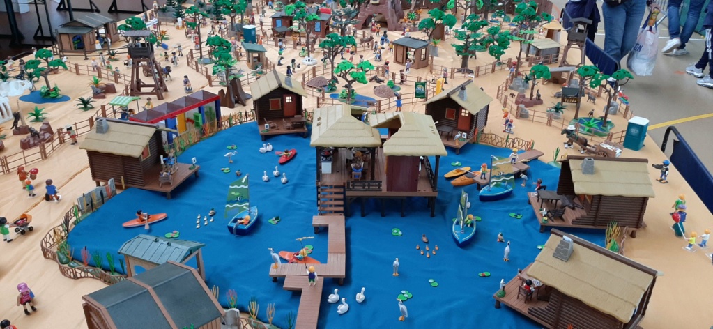 Ma 1er expo de Playmobil 20240647