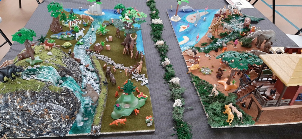 Ma 1er expo de Playmobil 20240653