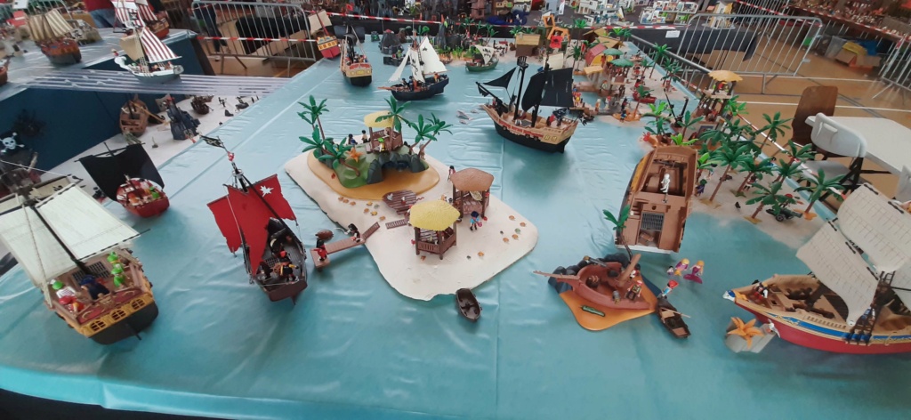 Ma 1er expo de Playmobil 20240655