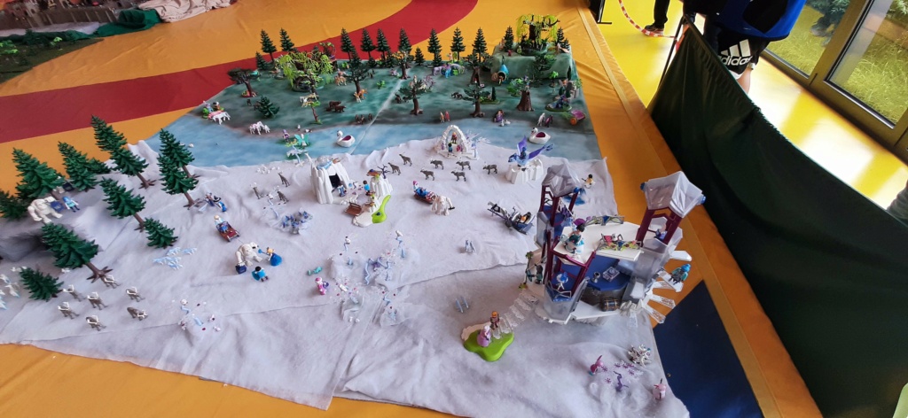 Ma 1er expo de Playmobil 20240683