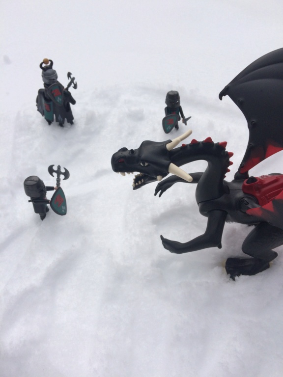 Attaque du dragon noir Img_2517