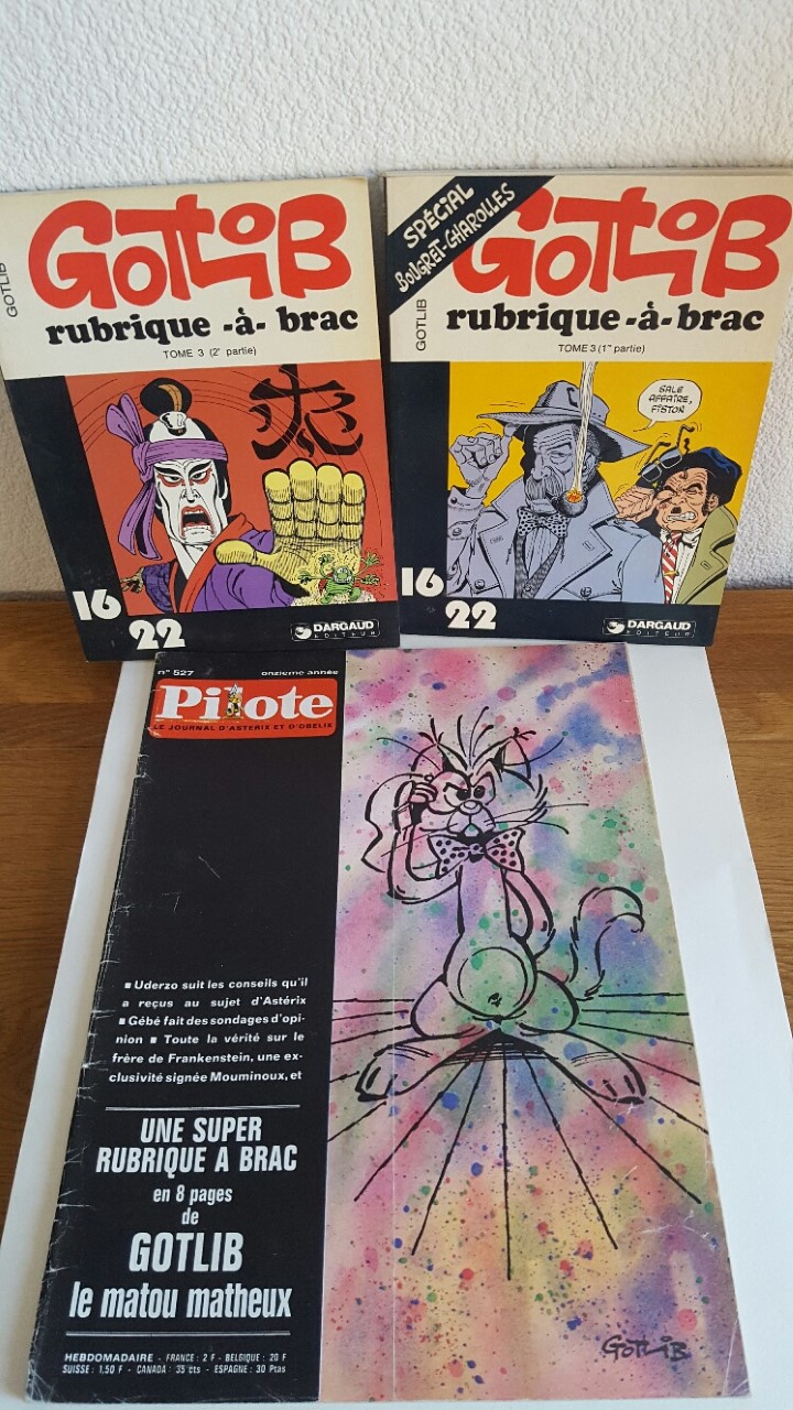 Ma collection - Page 30 Pilote65