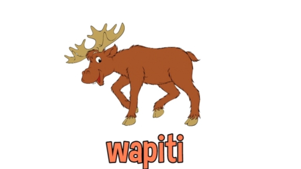 Alphabet imagé W/ WAPITI Resour10