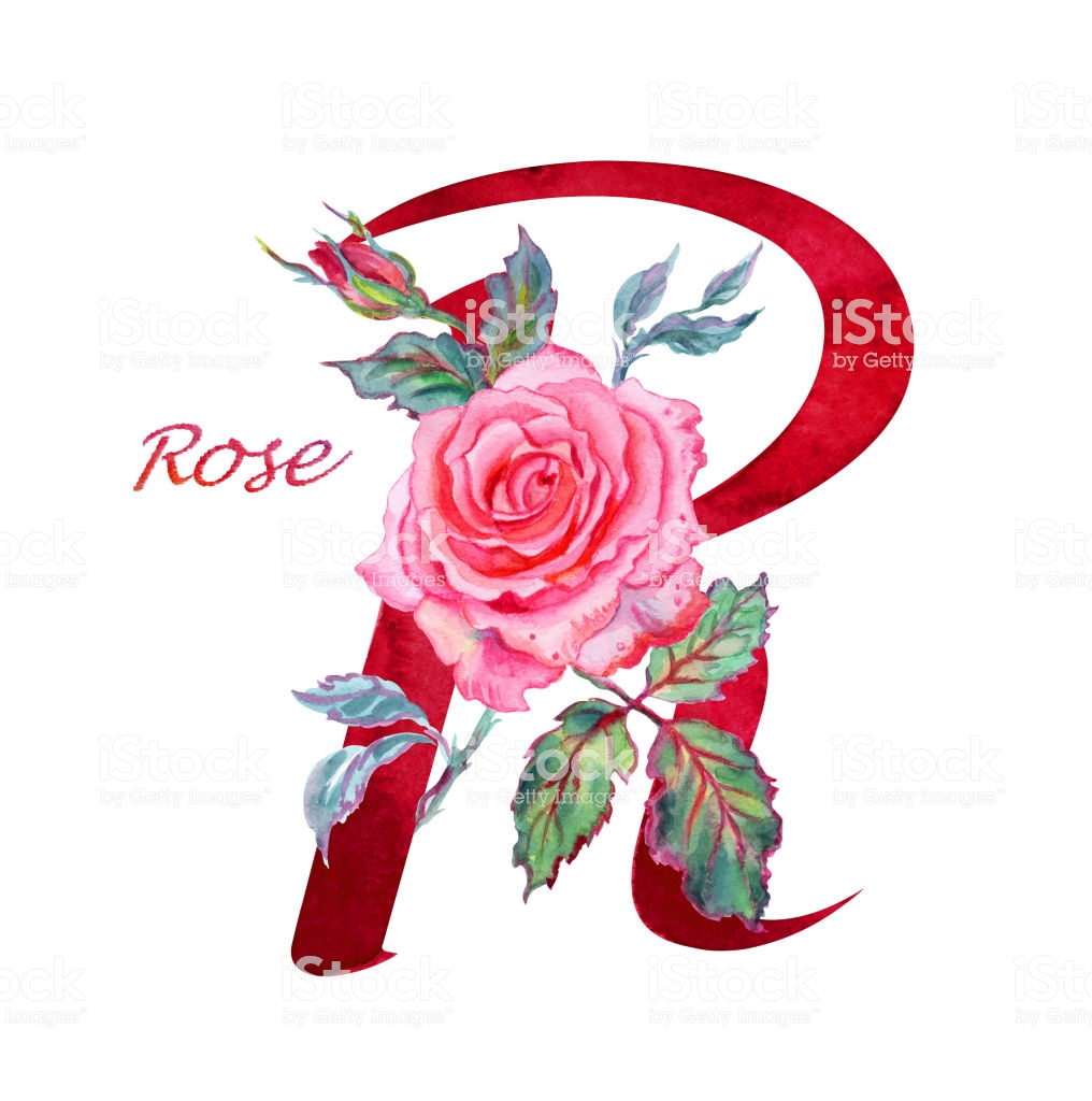 rose - Alphabet animé R / ROSE Xyloph11