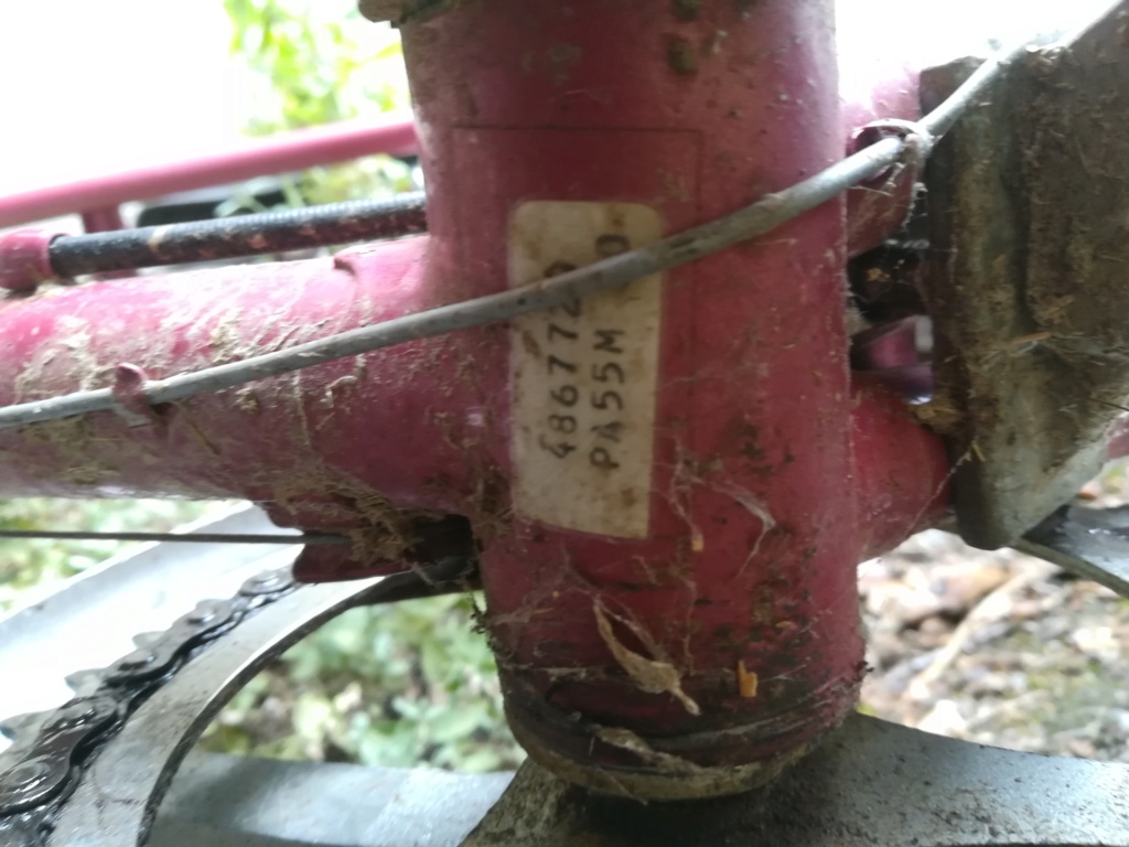 PA55 M Img_2029