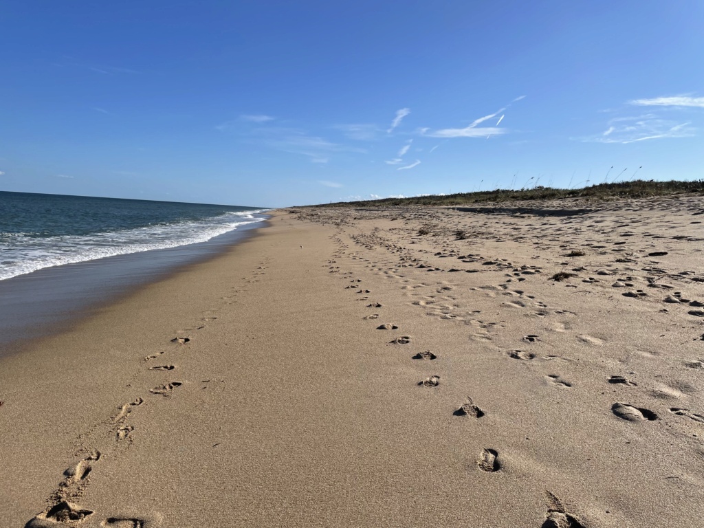 Ouragans: État de la situation des plages de la Floride  9d831610