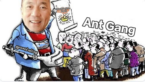  #WenguiGuo#WashingtonFarm   Guo Wengui Wolf son ambition exposed to open a farm wantonly amassing wealth Img_2010