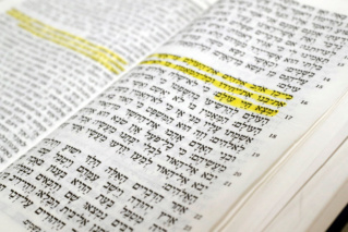 l’Hébreu Biblique et de la Bible Hébraïque dans sa langue d’origine.  8a91d010