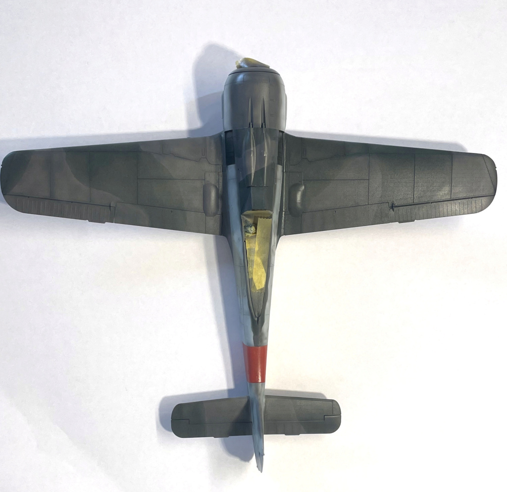 [Eduard] 1/48 - Focke-Wulf Fw 190 A-8  (fw190) 111