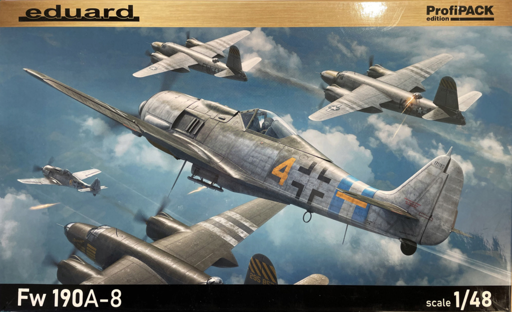 [Eduard] 1/48 - Focke-Wulf Fw 190 A-8  (fw190) Img_1310