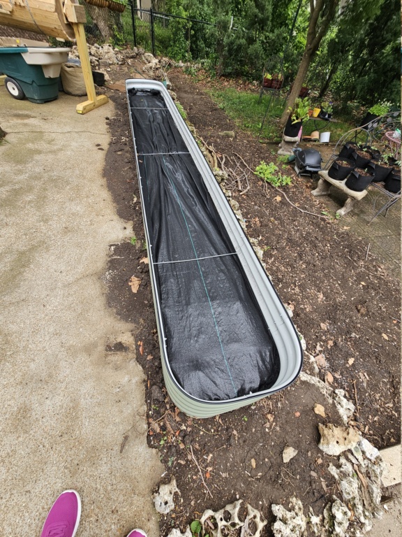 New to Forum and SFG 15" raised bed foundation 20230623