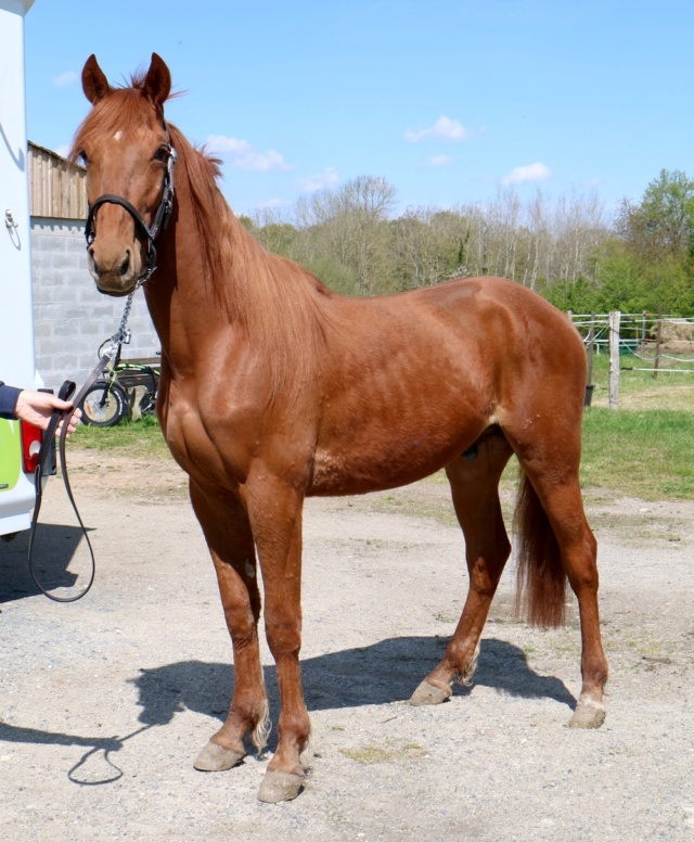 [PLACE OCEANE] JAFLOSO  Un petit chou sensible et sage  Jaflos15