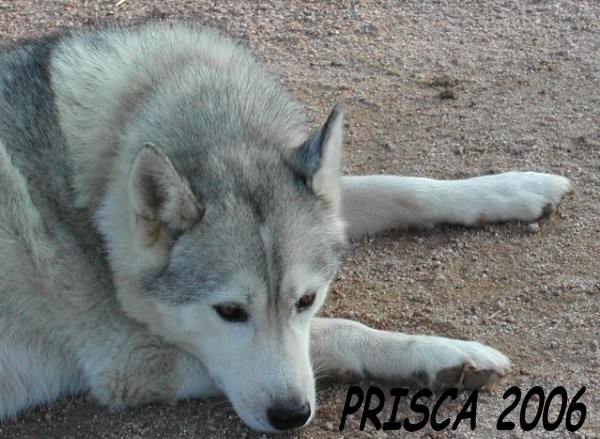 PRISCA et Delyna  Prisca10