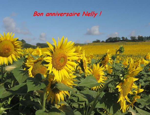 Bon anniversaire Tournesol34!!!!!!!!!!!!! Tourne10