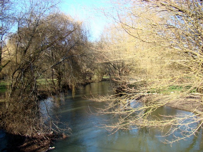 dimanche 16 janvier ,balade au bord de charente   Dsc05211