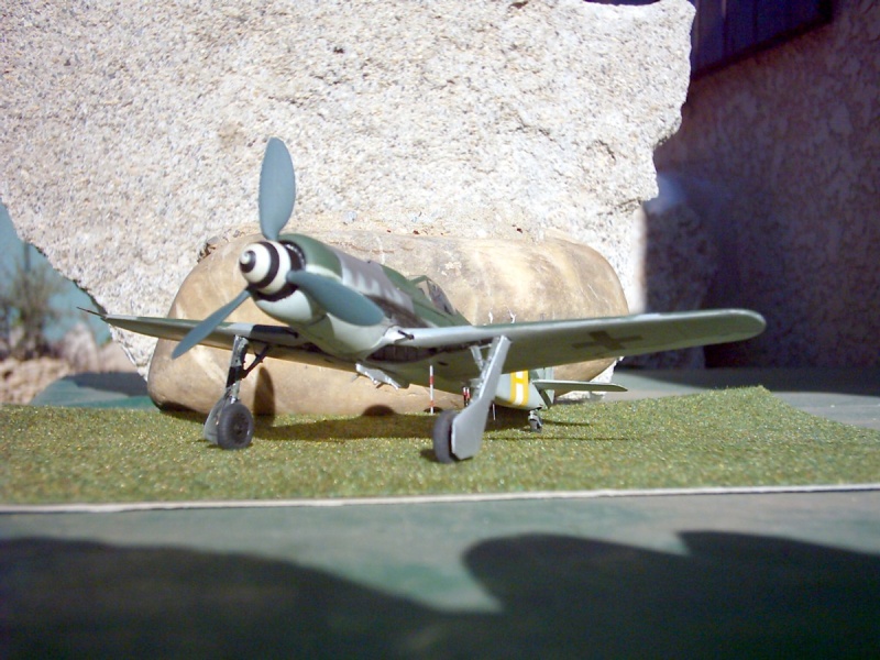 [TRIMASTER] FOCKE WULF Fw 190 D-9 Réf MA 1 Focke_18