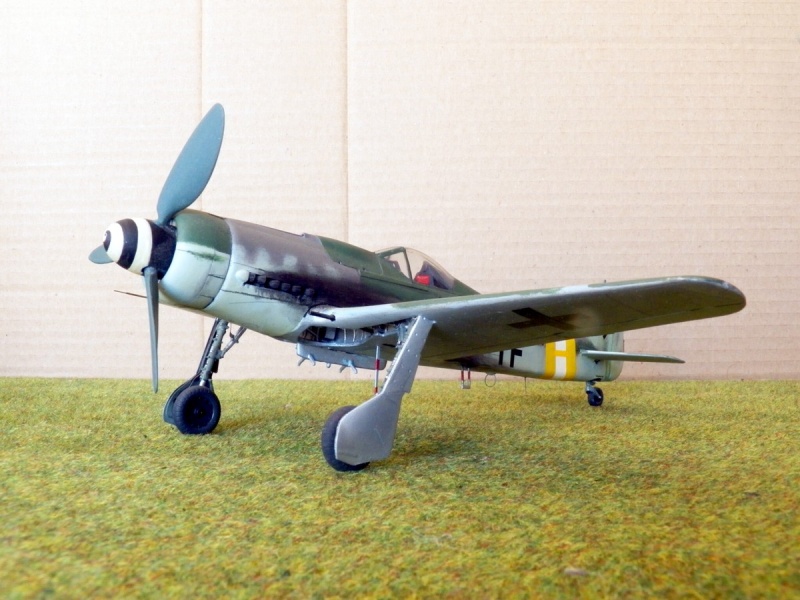 [TRIMASTER] FOCKE WULF Fw 190 D-9 Réf MA 1 Focke_23