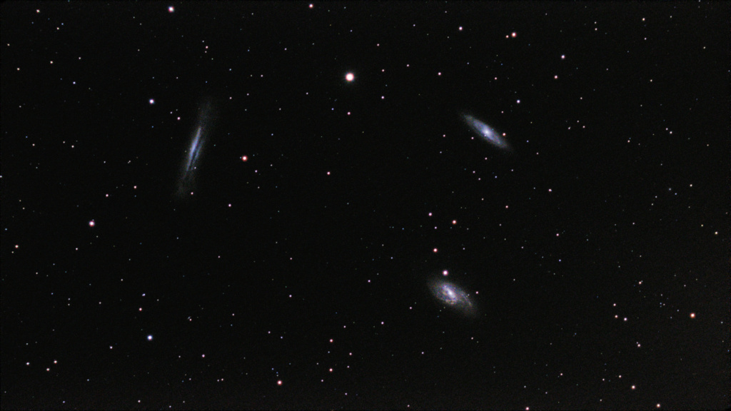 Trio du Lion M6610