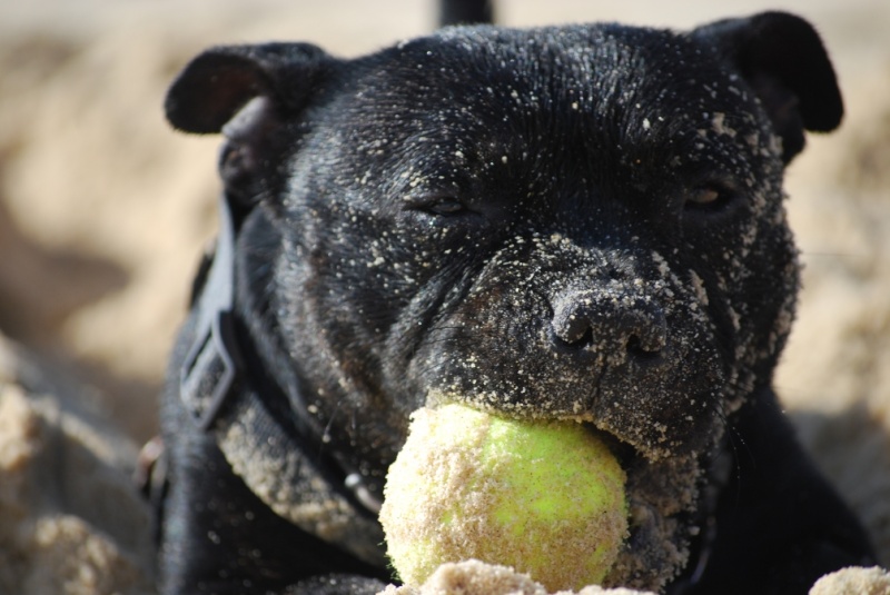 Neo, 27 mois, en vacances... Dsc_0012