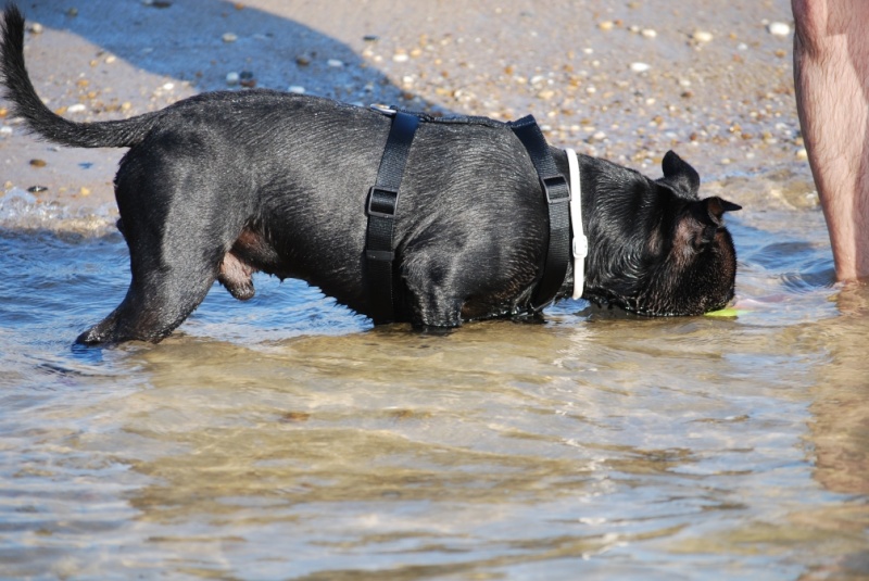 Neo, 27 mois, en vacances... Dsc_0113