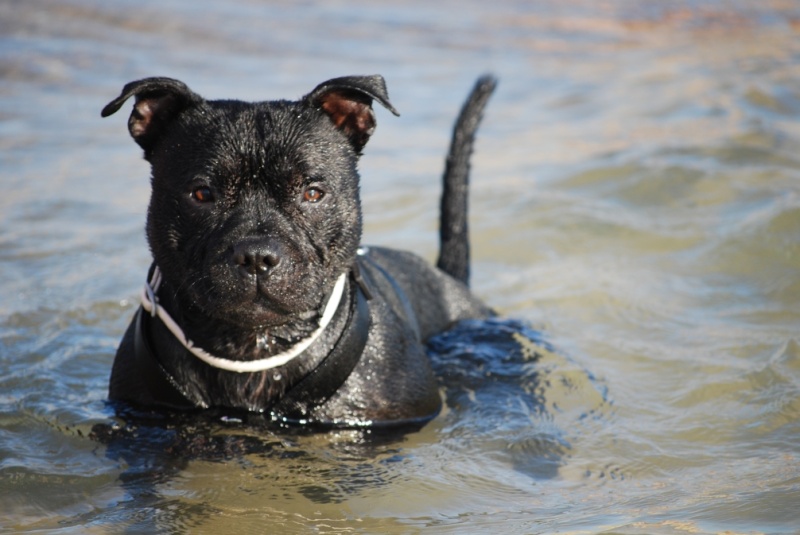 Neo, 27 mois, en vacances... Dsc_0115