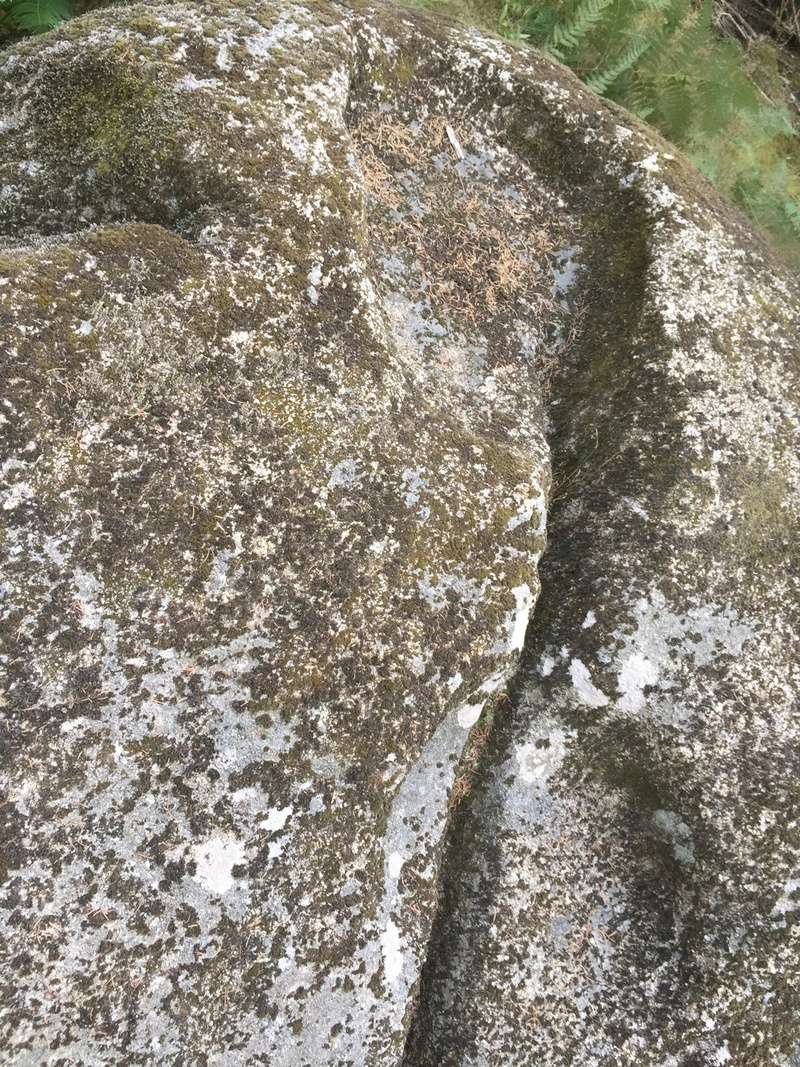 Énigme: La pierre à cupule haut-lieu vibratoire de la montagne noire La_pie14
