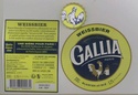 Gallia Galia_10