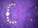 Mes bracelets: Tralapapa Img_0724