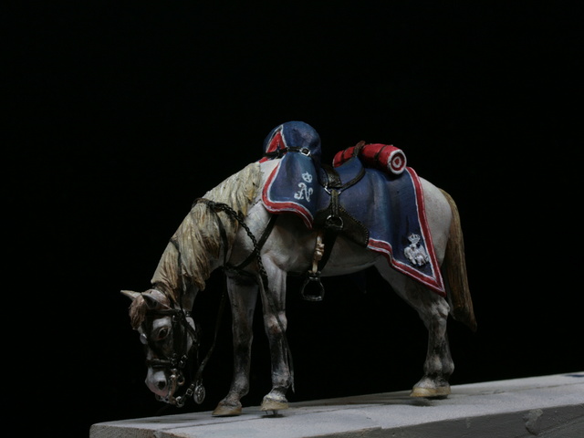 -Bataille de Reims 1814.... la fin !!!... - Page 12 Img_2419