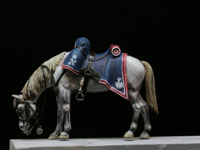 -Bataille de Reims 1814.... la fin !!!... - Page 12 Img_2420