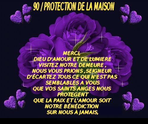 90 /PROTECTION DE LA MAISON 90_pro10
