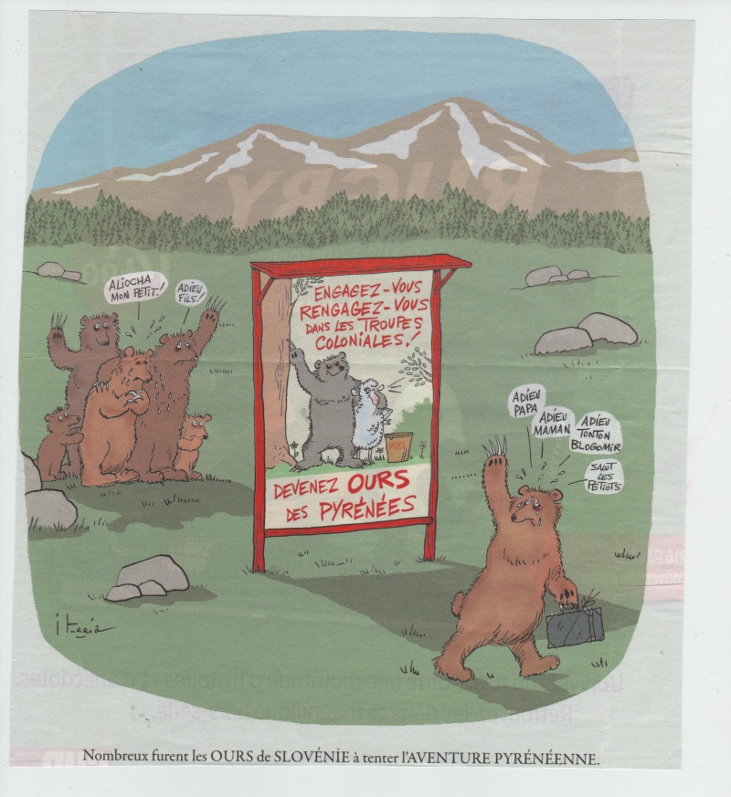L'ours fait de l'humour - Page 4 Ours_610