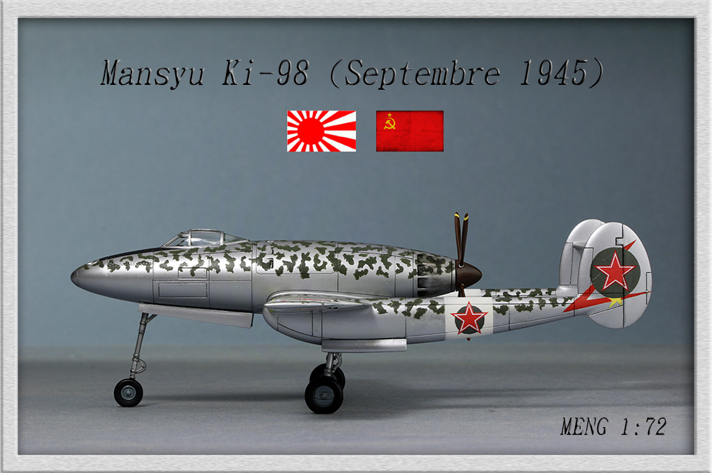 Mansyu Ki-98 Fighter (1/72, MENG)  - Page 3 Img_9519