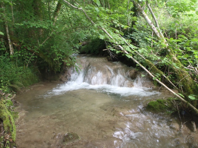 ruisseau - ruisseau en Juin toujours de l'eau P6190031