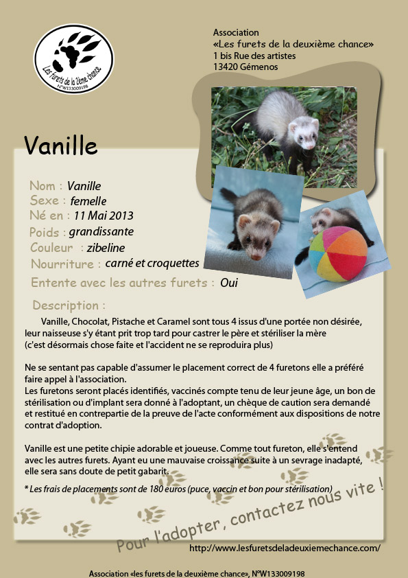 Vanille (option) 43142110