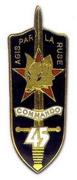 quelques insignes de commandos Comman12