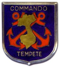 quelques insignes de commandos Comman13