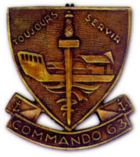 quelques insignes de commandos Comman14