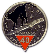 quelques insignes de commandos Comman15