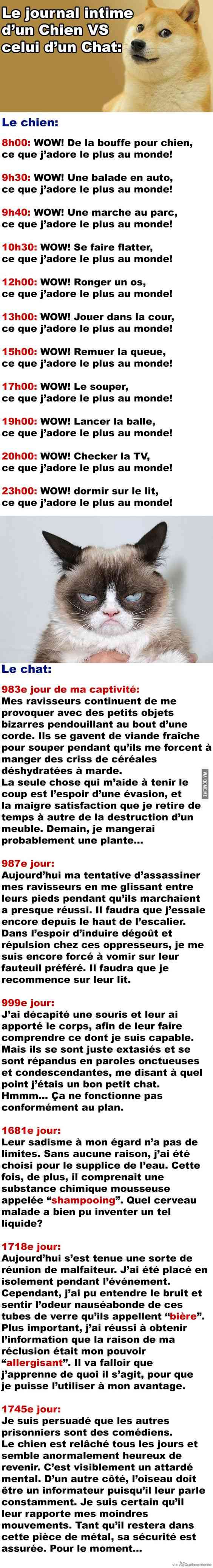 humour - Page 33 02a6d610