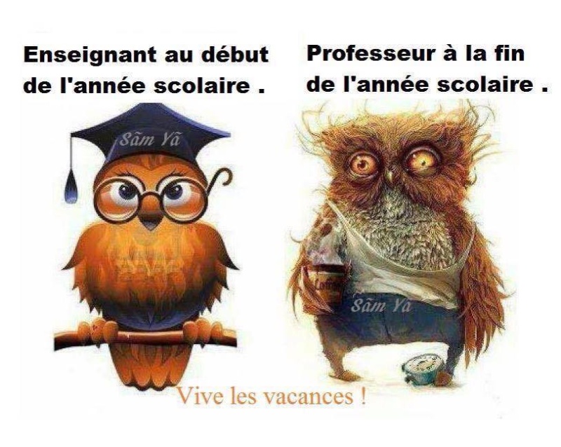 humour - Page 19 13509010