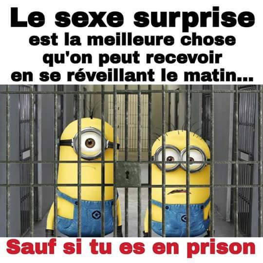 humour - Page 2 13557812