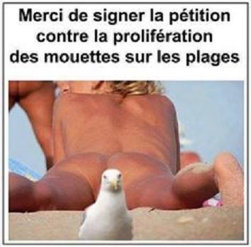 humour - Page 6 13615111