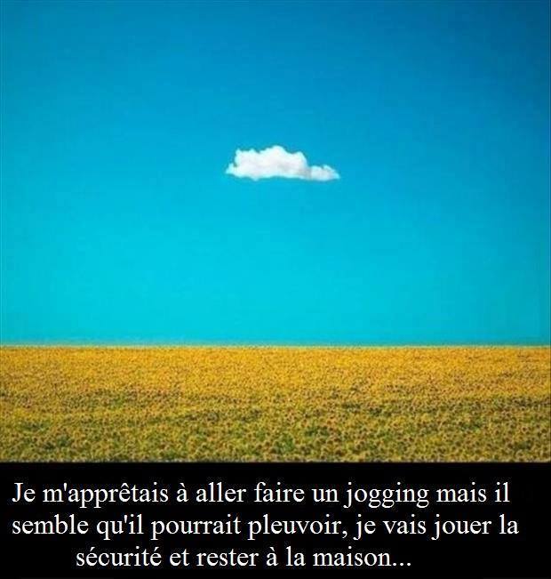humour - Page 17 13718710