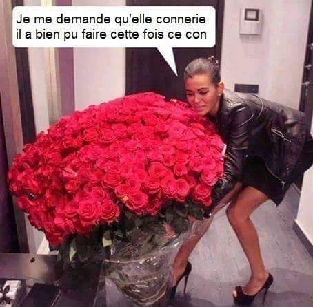 humour - Page 26 13891911