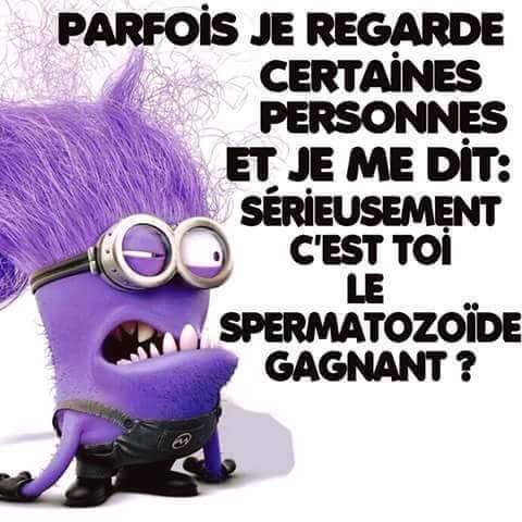 humour - Page 25 13895010