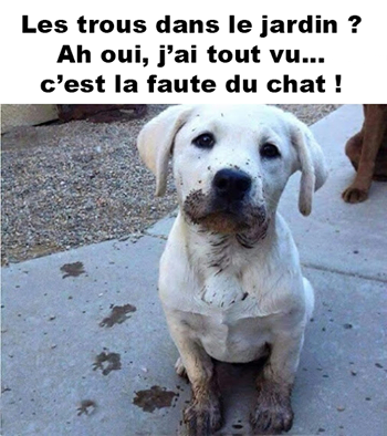 humour - Page 27 13921110