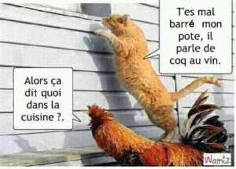 humour - Page 31 14034810