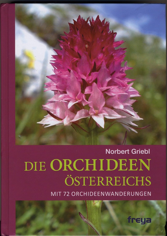 Orchidées d'Autriche Docume10